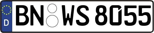 BN-WS8055