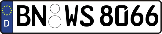 BN-WS8066