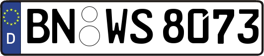 BN-WS8073