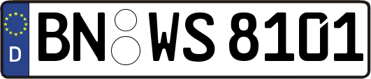 BN-WS8101