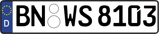 BN-WS8103