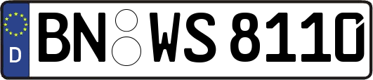 BN-WS8110
