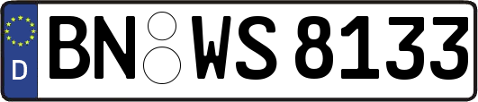 BN-WS8133