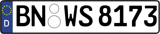 BN-WS8173