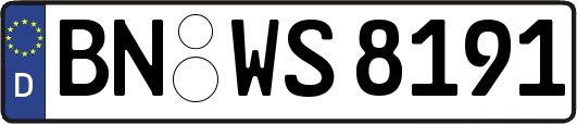 BN-WS8191