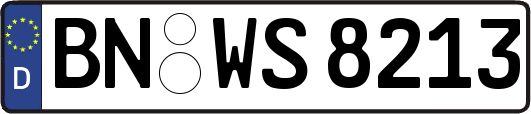 BN-WS8213