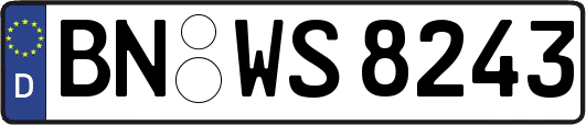 BN-WS8243