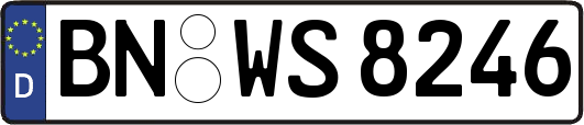 BN-WS8246