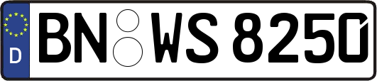 BN-WS8250