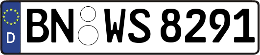 BN-WS8291