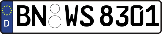BN-WS8301