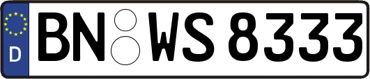 BN-WS8333
