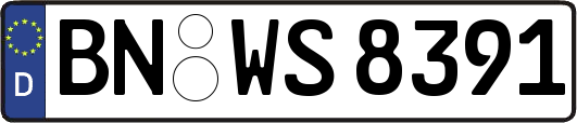 BN-WS8391