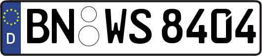 BN-WS8404