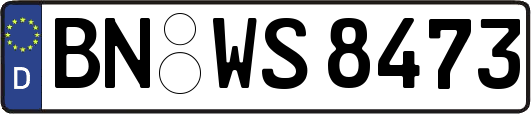 BN-WS8473