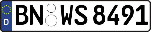 BN-WS8491
