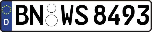 BN-WS8493