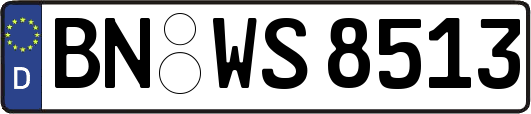 BN-WS8513