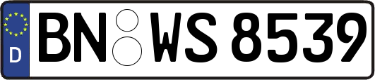 BN-WS8539