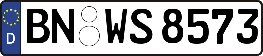 BN-WS8573