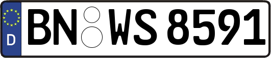 BN-WS8591