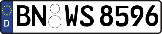 BN-WS8596