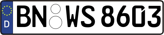 BN-WS8603