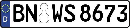 BN-WS8673
