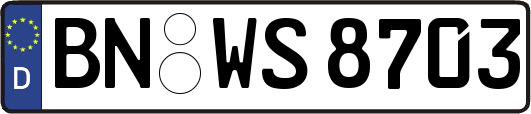 BN-WS8703