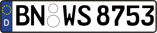 BN-WS8753