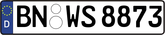 BN-WS8873