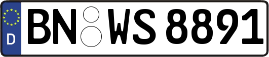 BN-WS8891