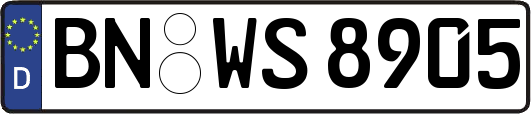 BN-WS8905