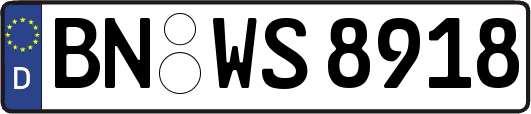 BN-WS8918