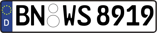 BN-WS8919