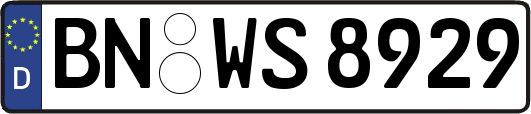 BN-WS8929