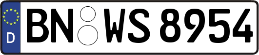 BN-WS8954
