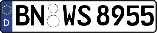 BN-WS8955