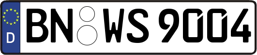 BN-WS9004