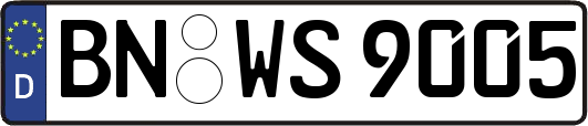 BN-WS9005
