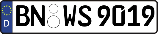 BN-WS9019