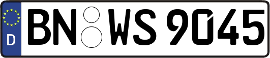 BN-WS9045