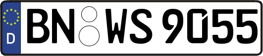 BN-WS9055