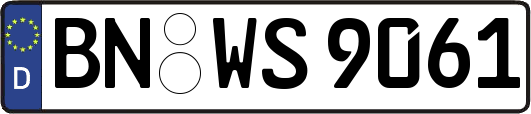 BN-WS9061