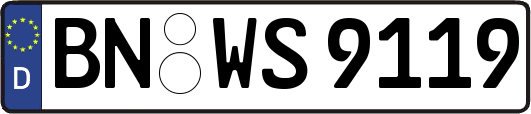 BN-WS9119