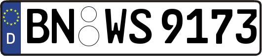 BN-WS9173