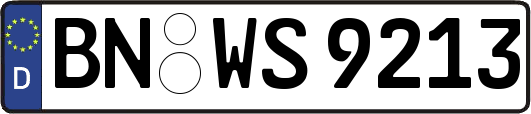 BN-WS9213
