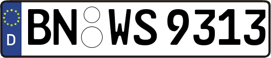BN-WS9313