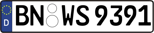 BN-WS9391