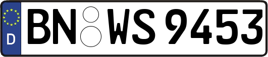 BN-WS9453